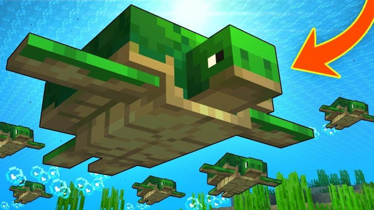 How to Breed Turtles In Minecraft